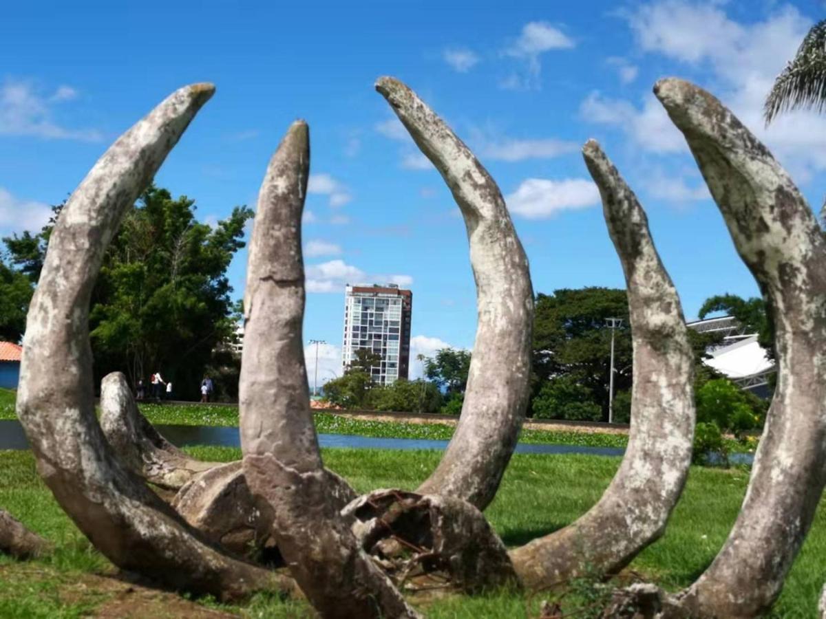 Torres Del Lago Suites And Apartments ซานโฮเซ ภายนอก รูปภาพ